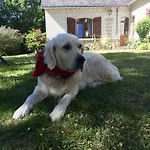 Bed & Breakfast Domaine De Joreau
