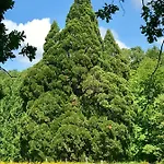 Bed & Breakfast Domaine De Joreau