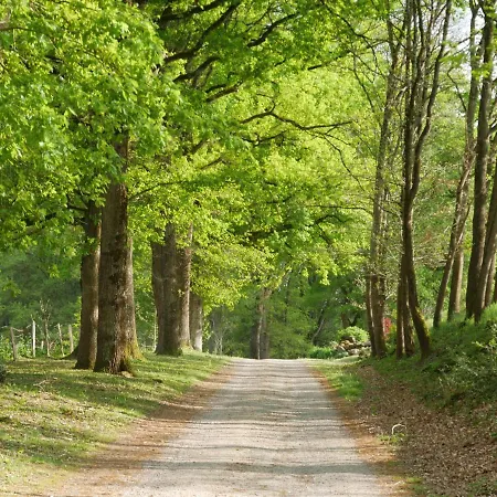 לינה וארוחת בוקר Domaine De Joreau