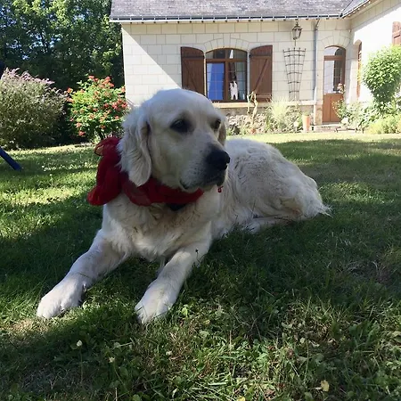 לינה וארוחת בוקר Domaine De Joreau