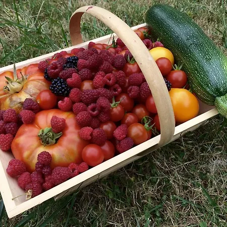 Domaine De Joreau לינה וארוחת בוקר